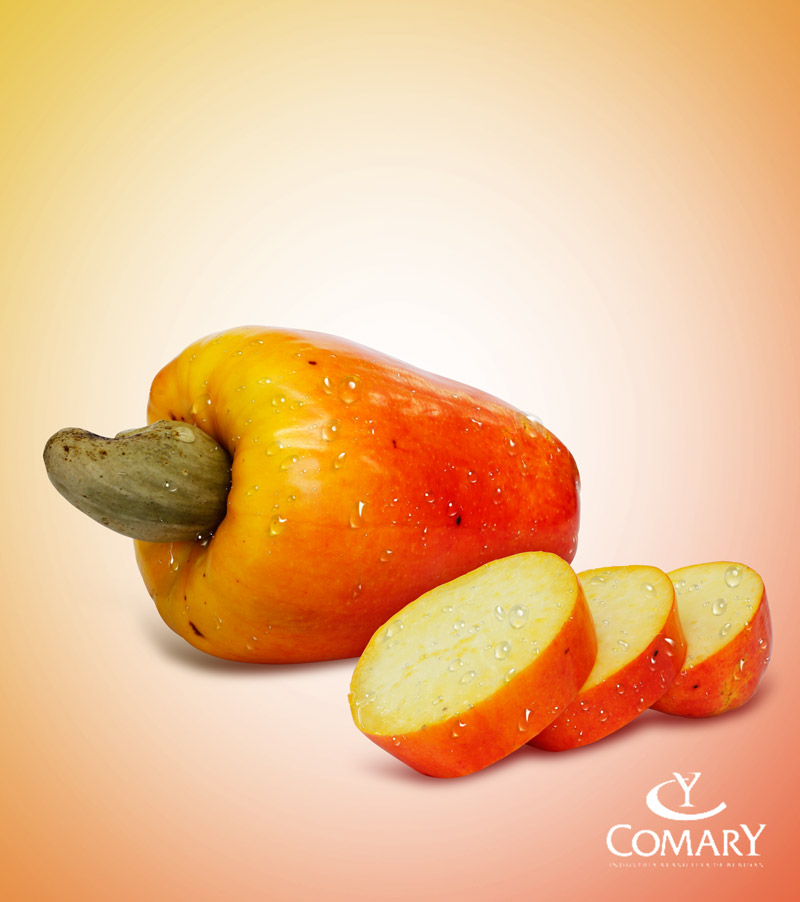 Embalagem 3D Frutas Comary sabor caju